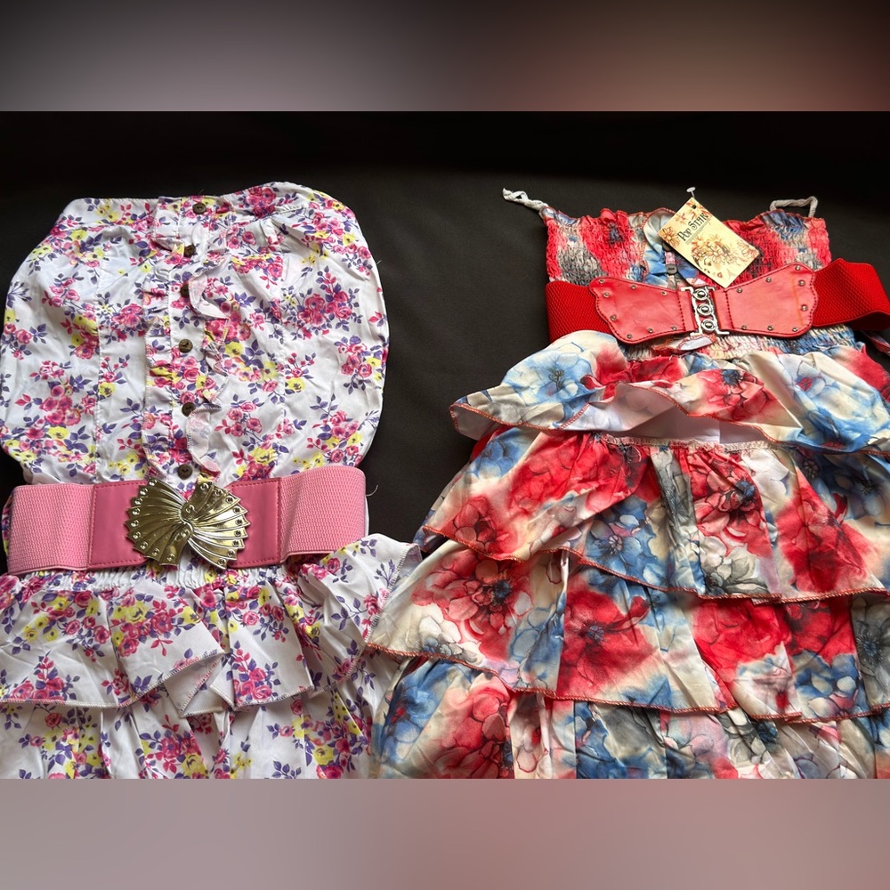 Pop Star- Young Teens- Floral Print Ruffle Top or Dress